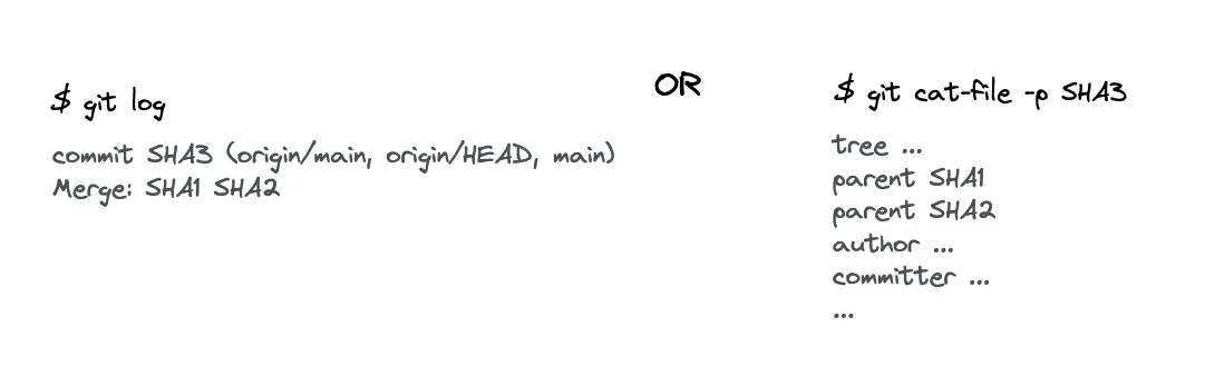 git log and git cat-file commands in action